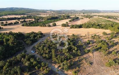 ECEABAT KABATEPEDE KADASTRAL YOLU OLAN 30 DÖNÜM TARLA