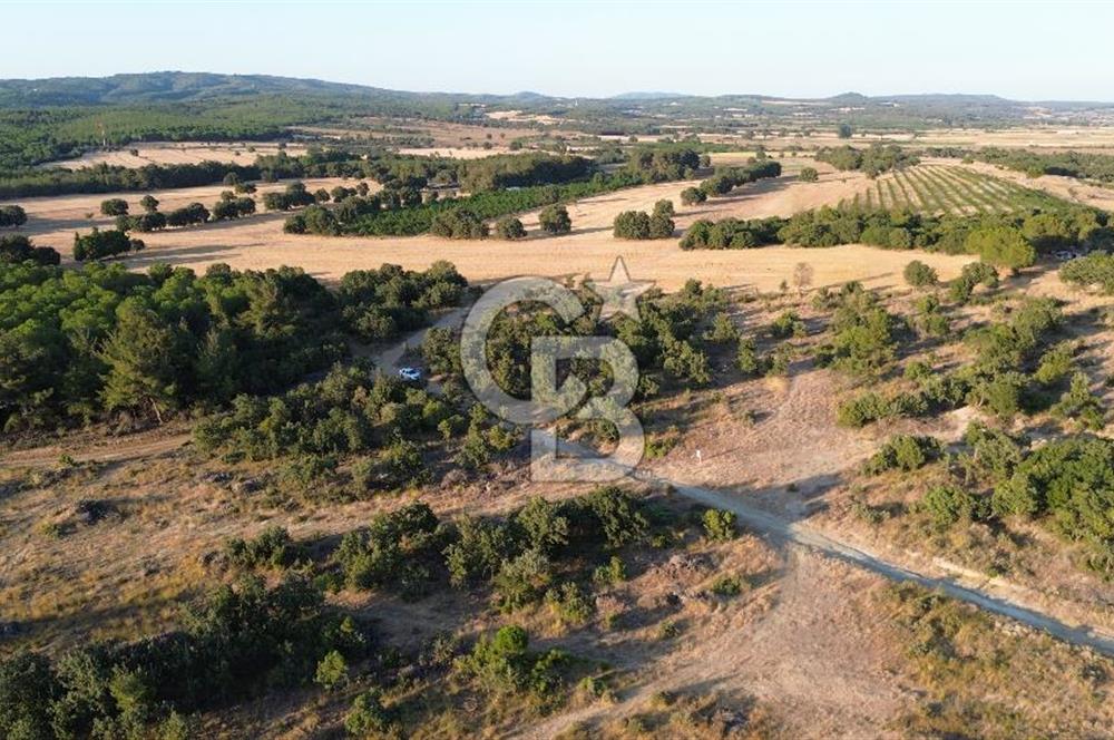 ECEABAT KABATEPEDE KADASTRAL YOLU OLAN 30 DÖNÜM TARLA