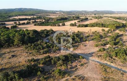 ECEABAT KABATEPEDE KADASTRAL YOLU OLAN 30 DÖNÜM TARLA