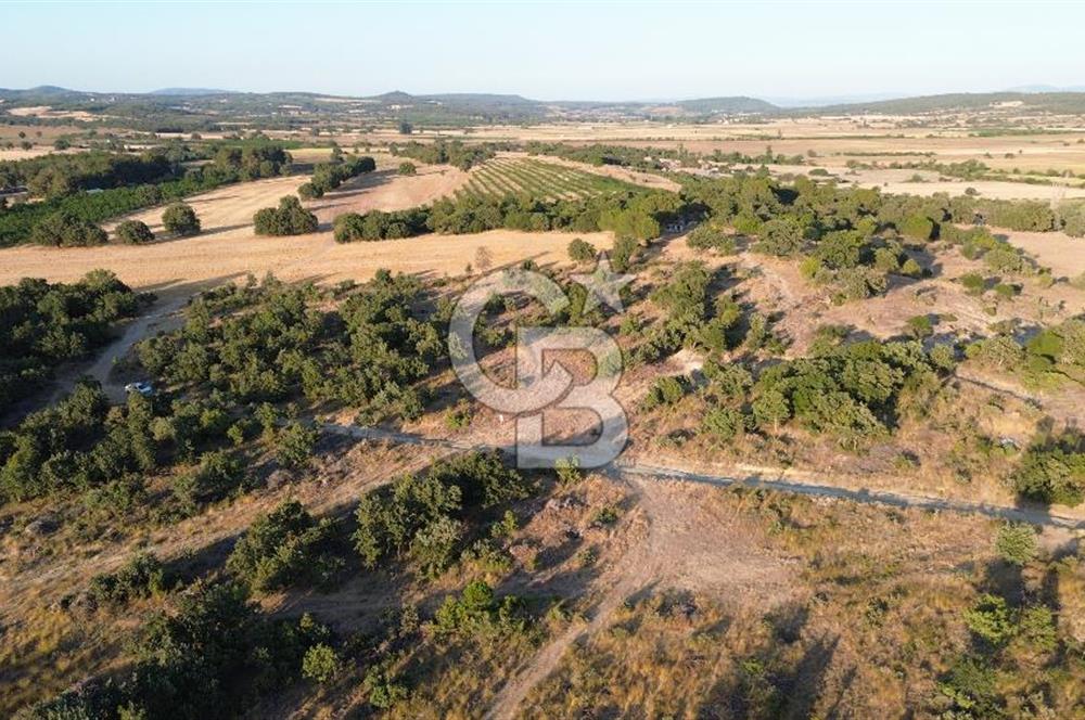 ECEABAT KABATEPEDE KADASTRAL YOLU OLAN 30 DÖNÜM TARLA