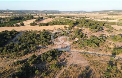 ECEABAT KABATEPEDE KADASTRAL YOLU OLAN 30 DÖNÜM TARLA