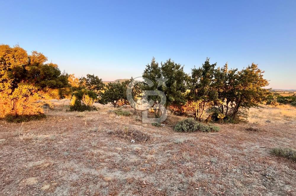 ECEABAT KABATEPEDE KADASTRAL YOLU OLAN 30 DÖNÜM TARLA