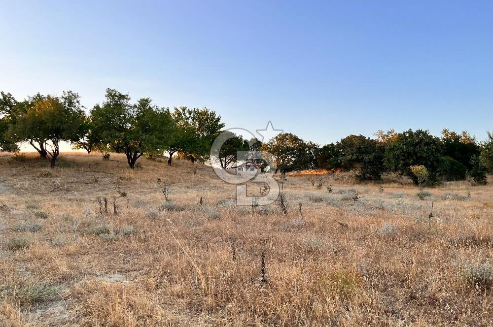 ECEABAT KABATEPEDE KADASTRAL YOLU OLAN 30 DÖNÜM TARLA