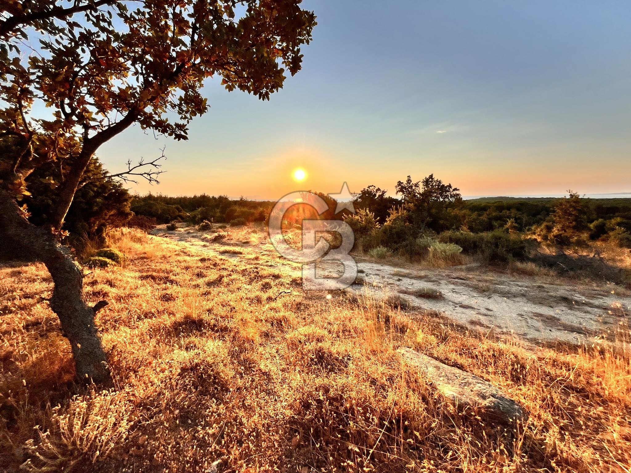 ECEABAT KABATEPEDE KADASTRAL YOLU OLAN 30 DÖNÜM TARLA