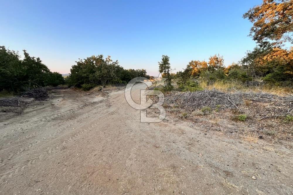 ECEABAT KABATEPEDE KADASTRAL YOLU OLAN 30 DÖNÜM TARLA