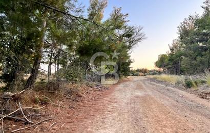 ECEABAT KABATEPEDE KADASTRAL YOLU OLAN 30 DÖNÜM TARLA