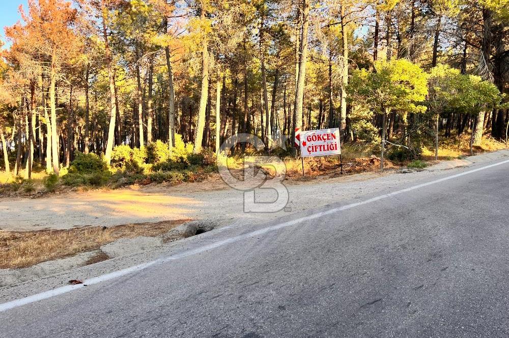 ECEABAT KABATEPEDE KADASTRAL YOLU OLAN 30 DÖNÜM TARLA