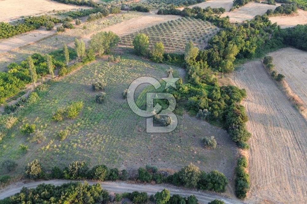 LAPSEKİ GÖKKÖY'DE KADASTRO YOLU OLAN