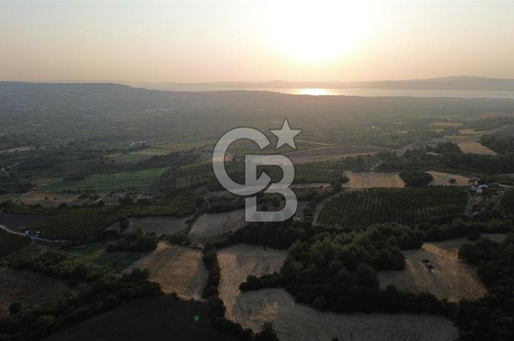 LAPSEKİ GÖKKÖY'DE KADASTRO YOLU OLAN