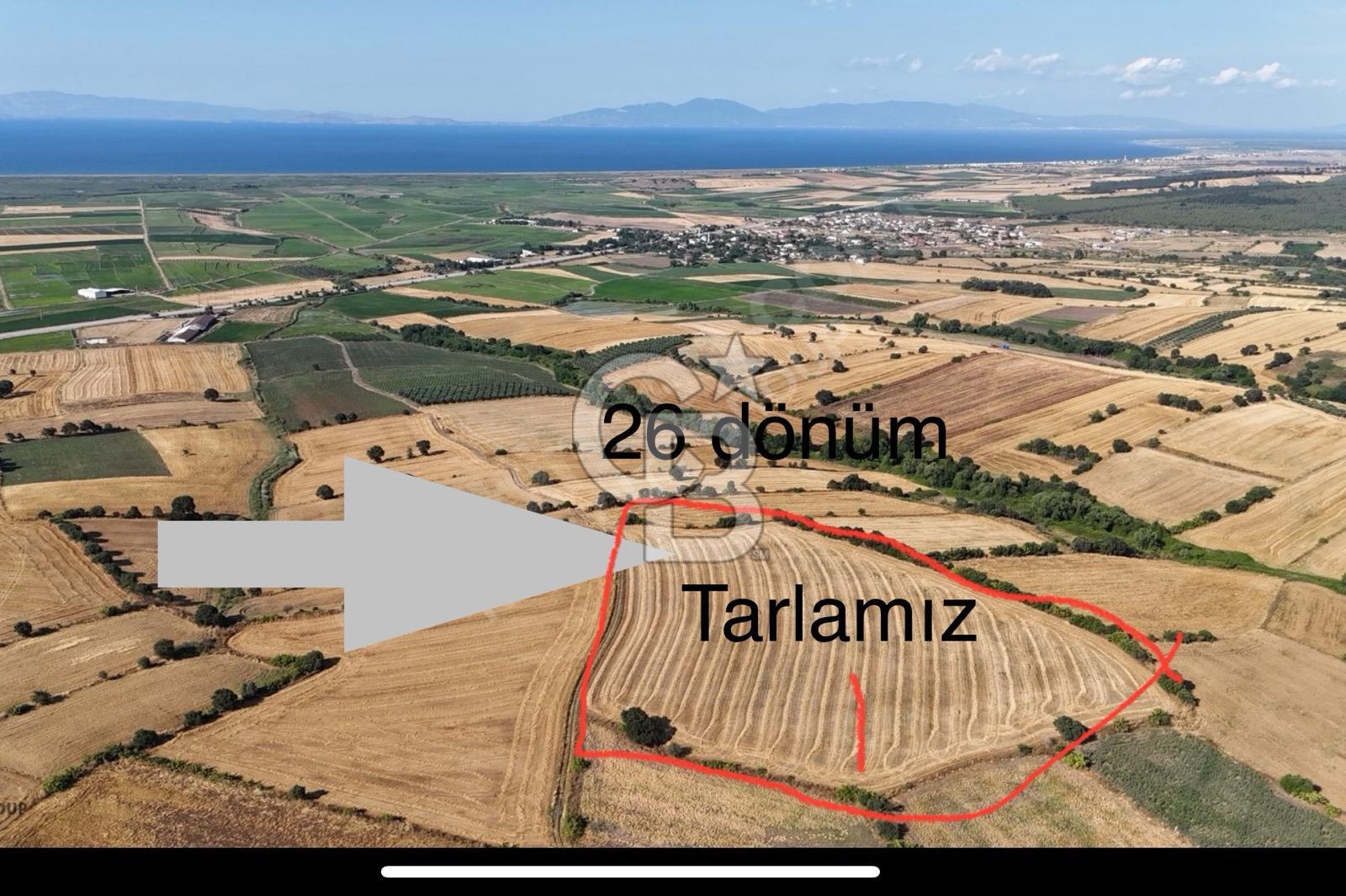 BİGA GÜVEMALAN SATILIK TARLA 26 DÖNÜM 