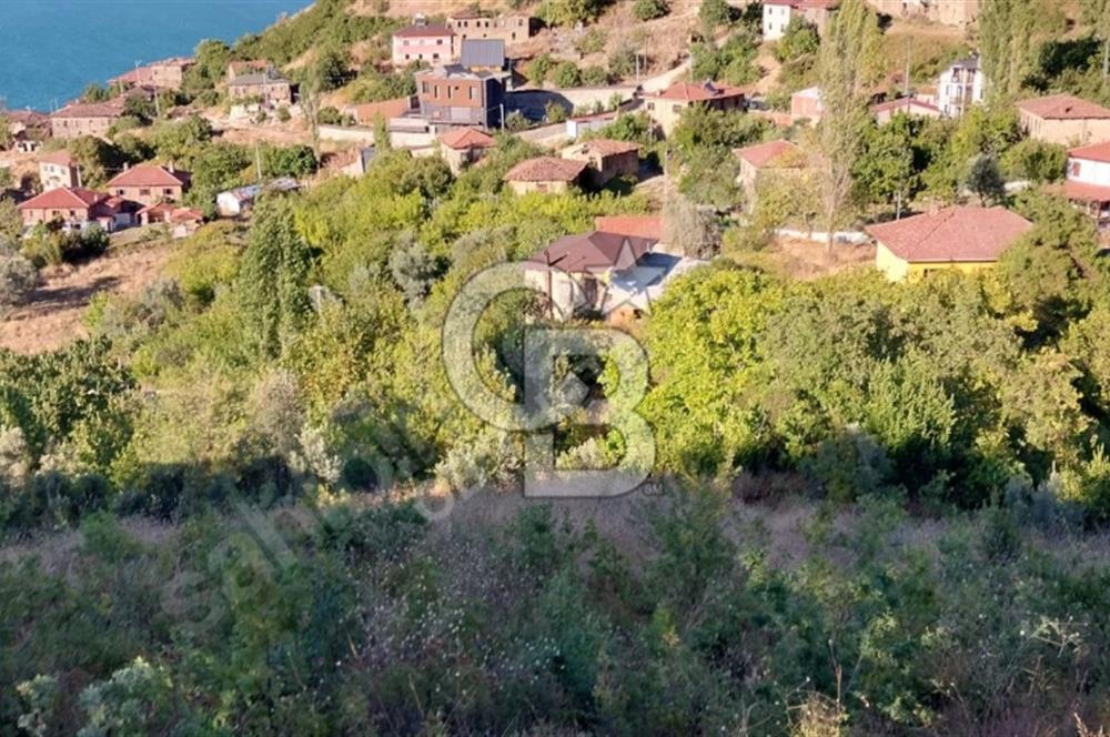 İznik Güllüce göl manzaralı arazi. Takaslı.