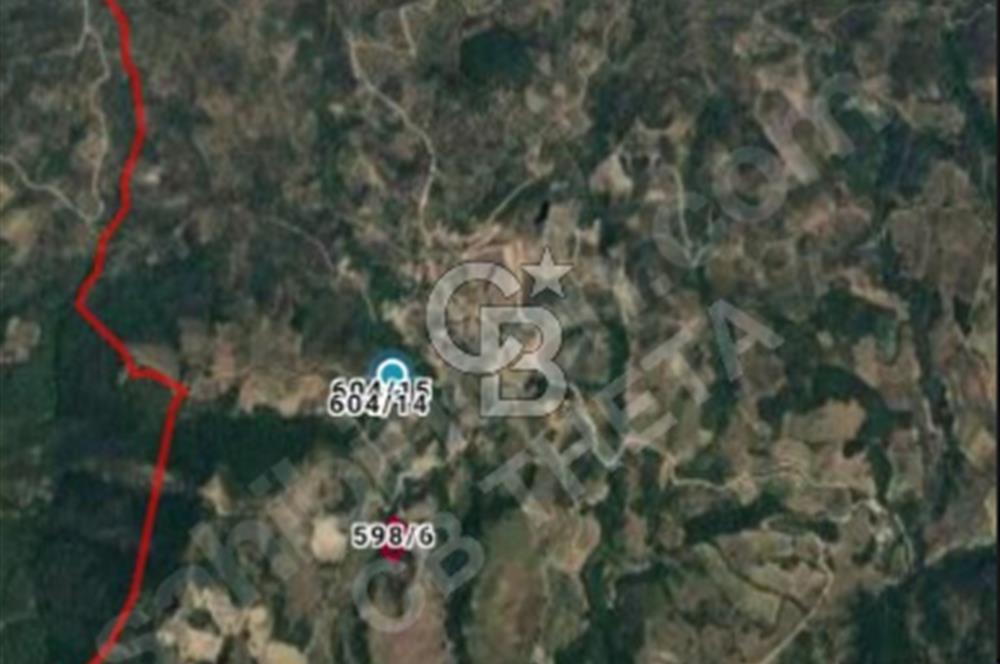 İznik Güllüce göl manzaralı arazi. Takaslı.