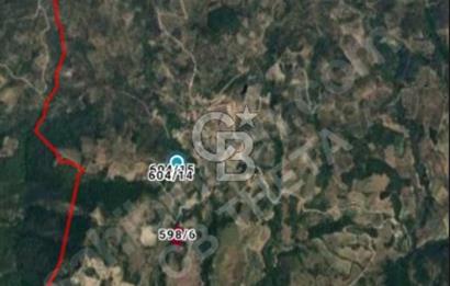 İznik Güllüce göl manzaralı arazi. Takaslı.