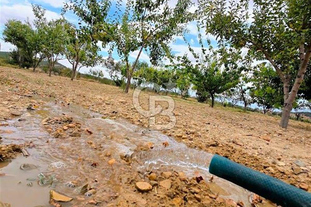 Dazkırı Merkeze 600 Metre Mesafede Satılık Hobi Bahçesi