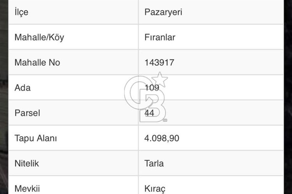CB CITY'DEN BİLECİK PAZARYERİ FIRANLAR'DA SATILIK TARLA