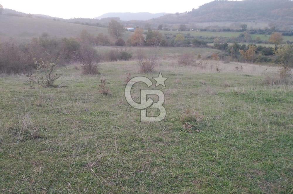ÇANAKKALE ÇAN MEVKİİ SATILIK TARLA 