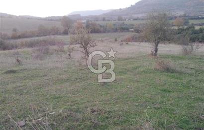 ÇANAKKALE ÇAN MEVKİİ SATILIK TARLA 