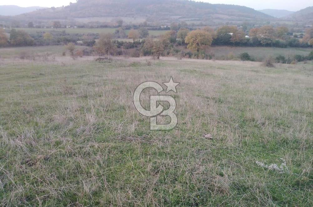 ÇANAKKALE ÇAN MEVKİİ SATILIK TARLA 