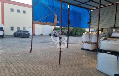 BURSA ORHANGAZİ MARZİM DEVREN KİRALIK PLASTİK KOVA FABRİKASI!.