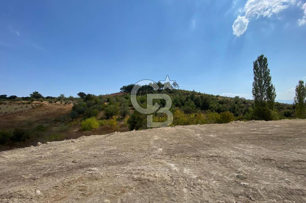 Manisa Yunusemre Büyüksümbüller de Satılık Tarla