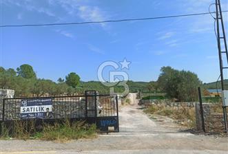 Kavakdere'de Asfalt Yol Kenarında Satılık Arsa