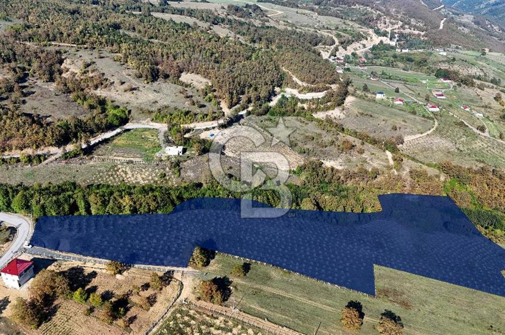 İlkadım Akgöl’de Köy İçi İmarlı 28220 m2 Satılık Tarla 