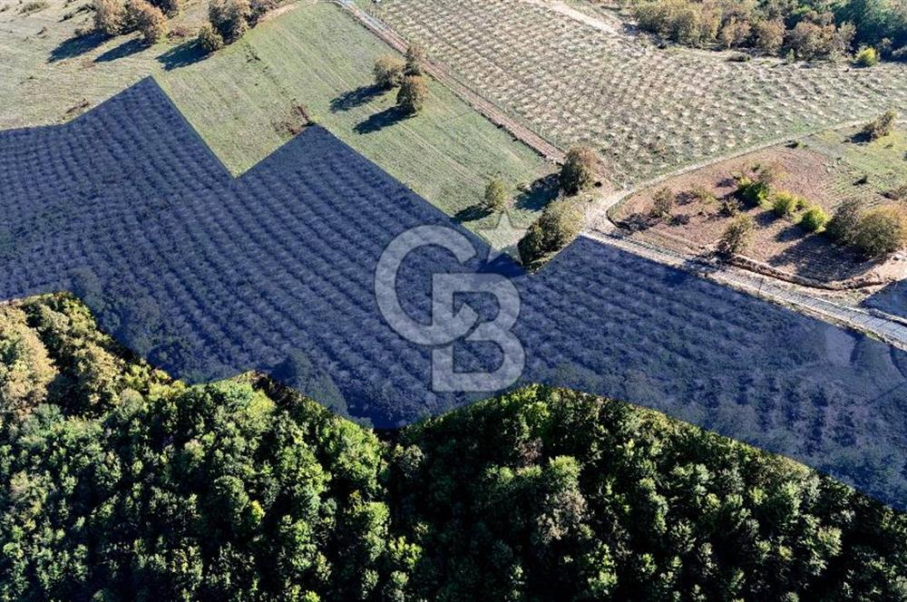 İlkadım Akgöl’de Köy İçi İmarlı 28220 m2 Satılık Tarla 