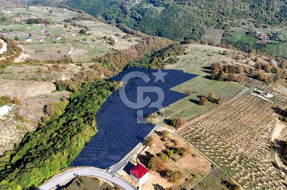 İlkadım Akgöl’de Köy İçi İmarlı 28220 m2 Satılık Tarla 