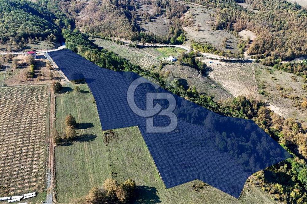 İlkadım Akgöl’de Köy İçi İmarlı 28220 m2 Satılık Tarla 
