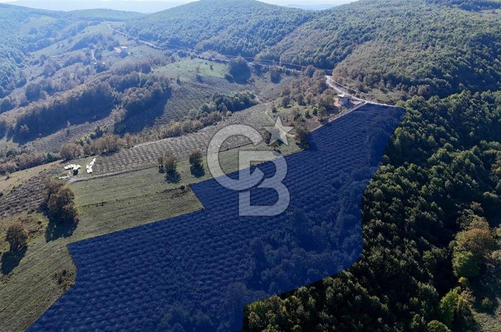 İlkadım Akgöl’de Köy İçi İmarlı 28220 m2 Satılık Tarla 