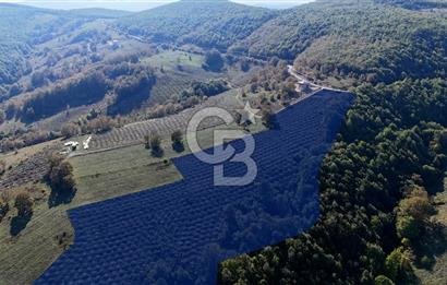 İlkadım Akgöl’de Köy İçi İmarlı 28220 m2 Satılık Tarla 