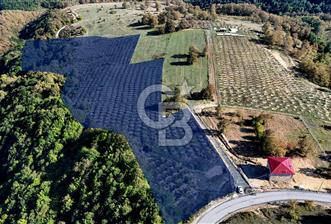 İlkadım Akgöl’de Köy İçi İmarlı 28220 m2 Satılık Tarla  - 1 - 235346