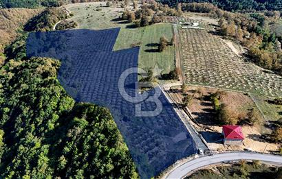 İlkadım Akgöl’de Köy İçi İmarlı 28220 m2 Satılık Tarla 