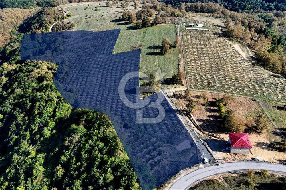 İlkadım Akgöl’de Köy İçi İmarlı 28220 m2 Satılık Tarla 