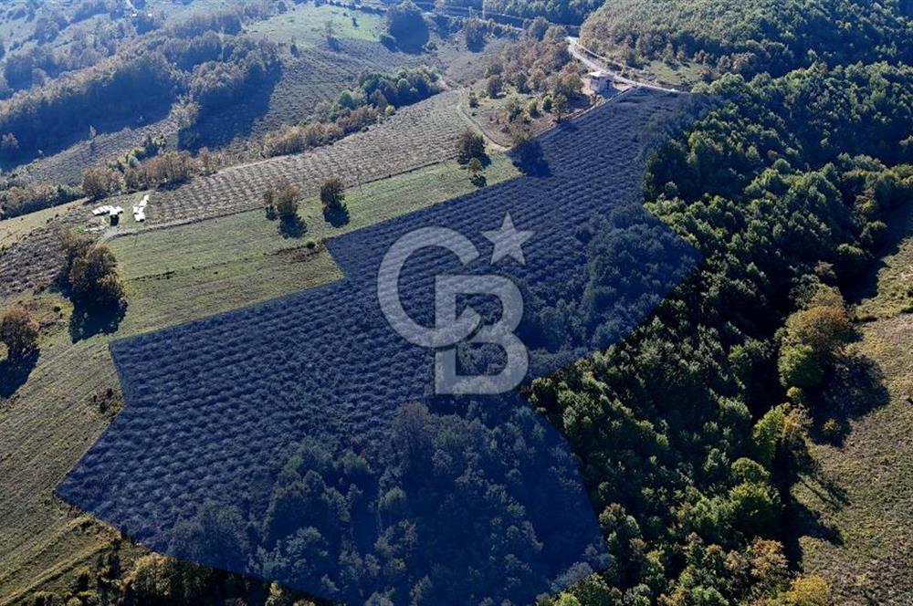 İlkadım Akgöl’de Köy İçi İmarlı 28220 m2 Satılık Tarla 