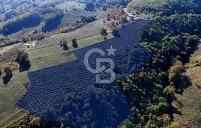 İlkadım Akgöl’de Köy İçi İmarlı 28220 m2 Satılık Tarla 