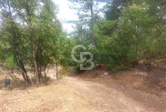AKSEKİ CEVİZLİ DE 2156 M2 SATILIK TARLA 