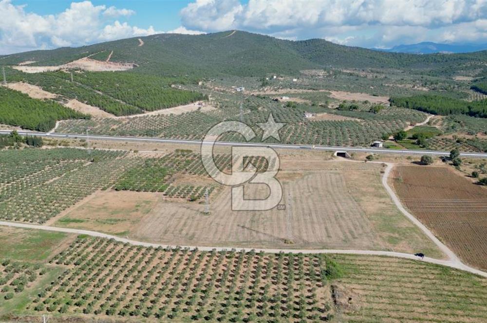 TORBALI ARSLANLAR MEVKİİ SATILIK 21000 M2 TARLA