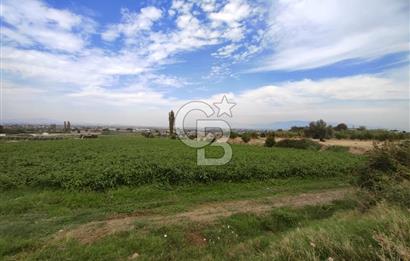 Manisa Salihli Caferbeyde Satılık Tarla