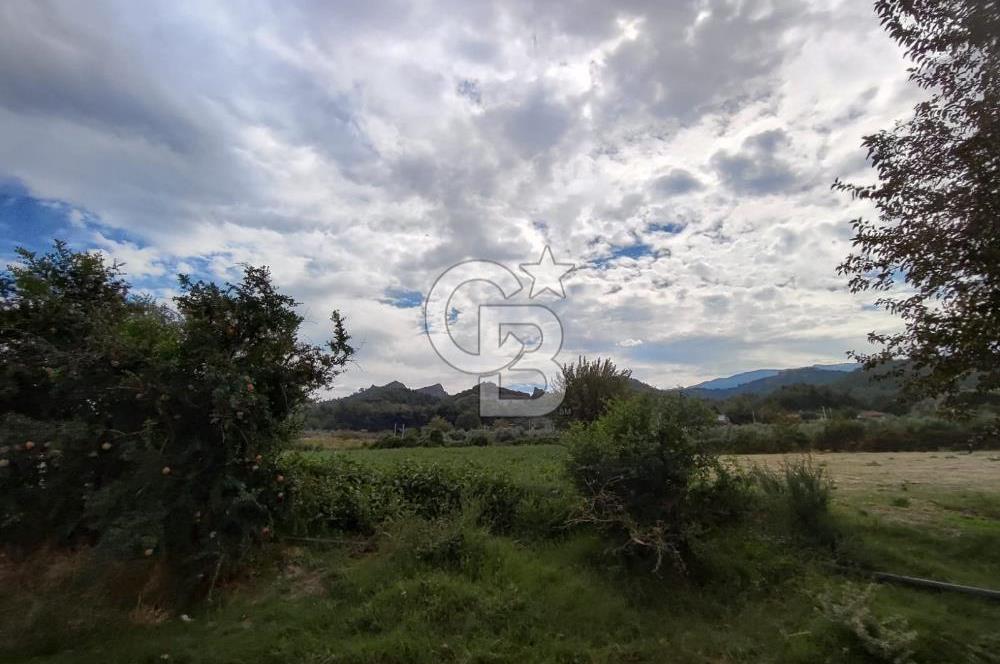 Manisa Salihli Caferbeyde Satılık Tarla