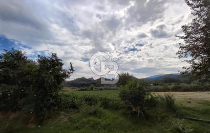 Manisa Salihli Caferbeyde Satılık Tarla