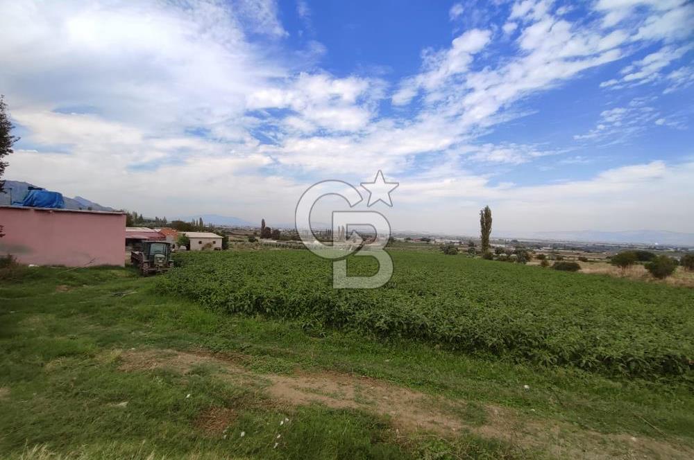 Manisa Salihli Caferbeyde Satılık Tarla
