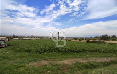 Manisa Salihli Caferbeyde Satılık Tarla