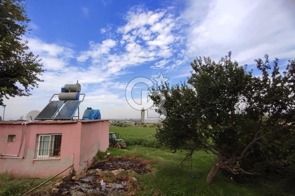 Manisa Salihli Caferbeyde Satılık Tarla