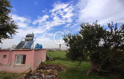 Manisa Salihli Caferbeyde Satılık Tarla