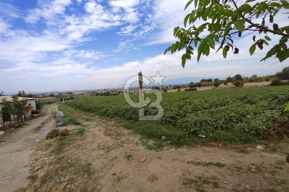 Manisa Salihli Caferbeyde Satılık Tarla
