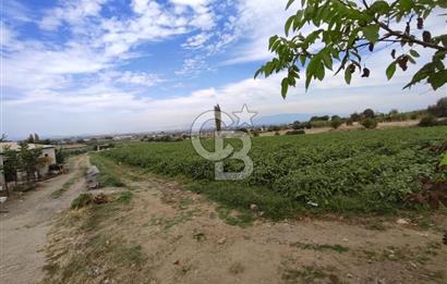 Manisa Salihli Caferbeyde Satılık Tarla