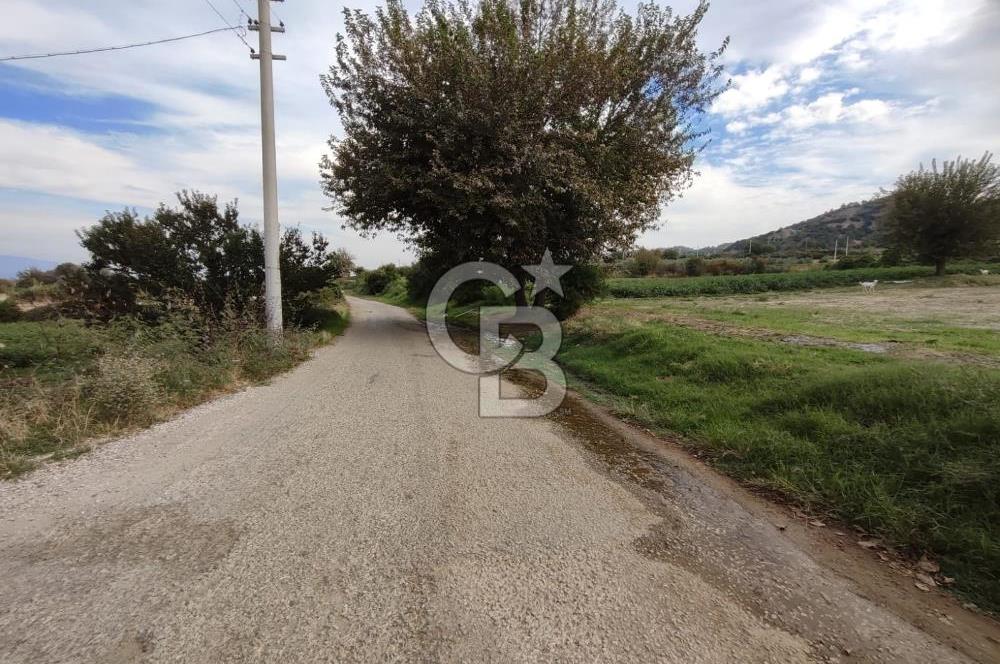 Manisa Salihli Caferbeyde Satılık Tarla