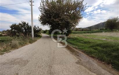 Manisa Salihli Caferbeyde Satılık Tarla