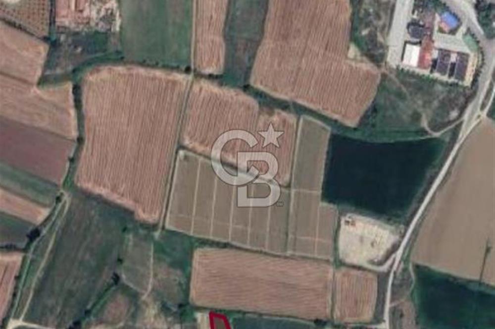 Manisa Salihli Caferbeyde Satılık Tarla